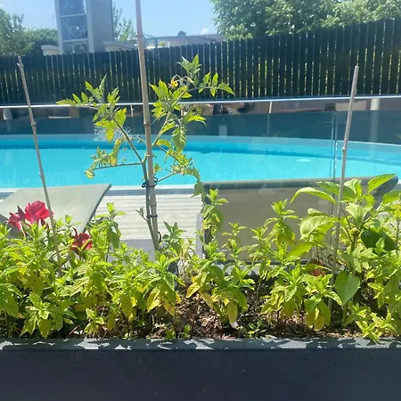 Radisson Blu Hotel, 4*