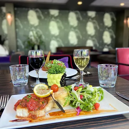 Radisson Blu Hotel, Hotel Montpellier