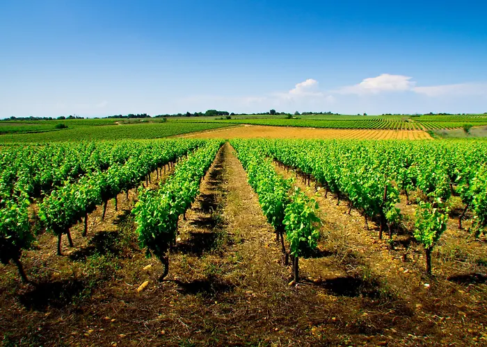 Hotel Radisson Blu Hotel,