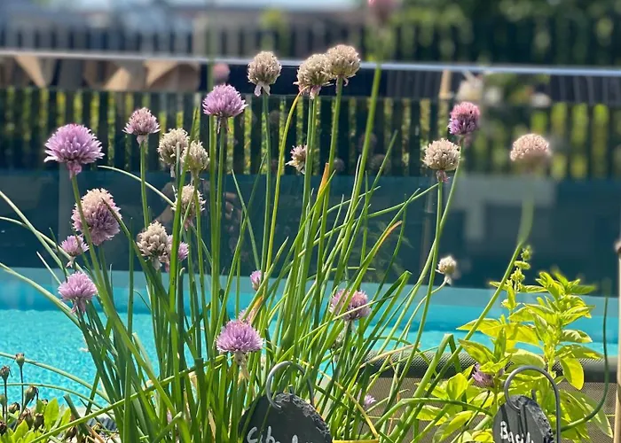 Radisson Blu Hotel, Montpellier