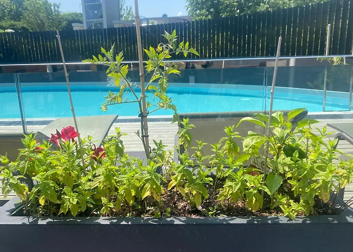 Radisson Blu Hotel, 4*