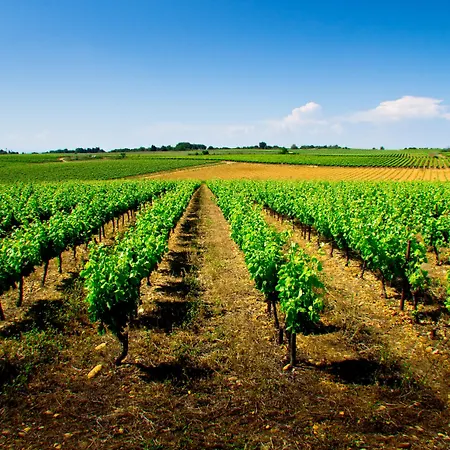 فندق Radisson Blu Hotel,