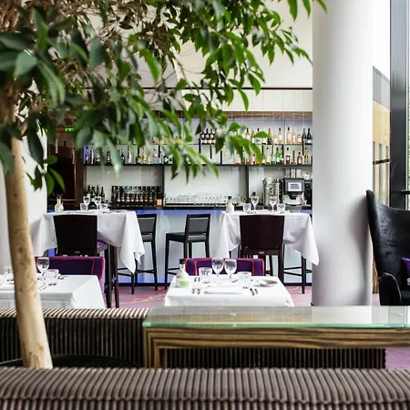 Hotel Radisson Blu Hotel,