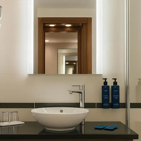 Hotel Radisson Blu Hotel,